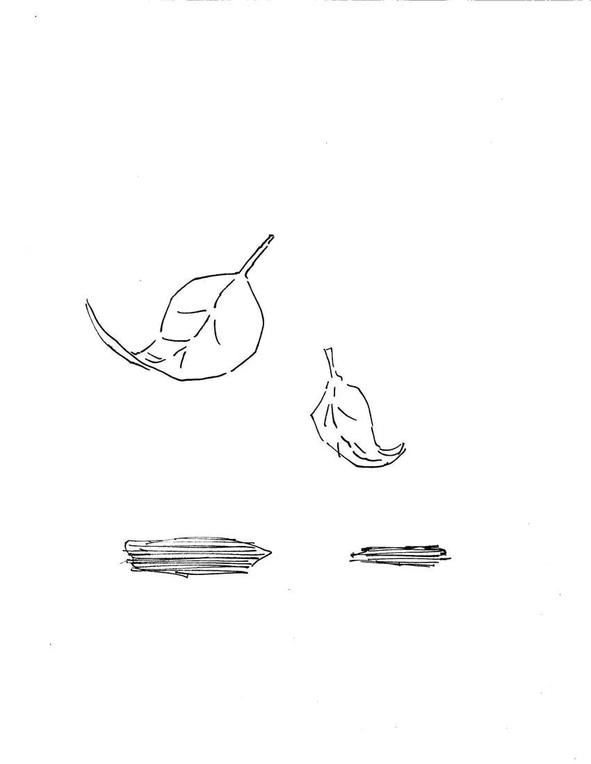 Miscellaneous Chapter 4 page 1 - 