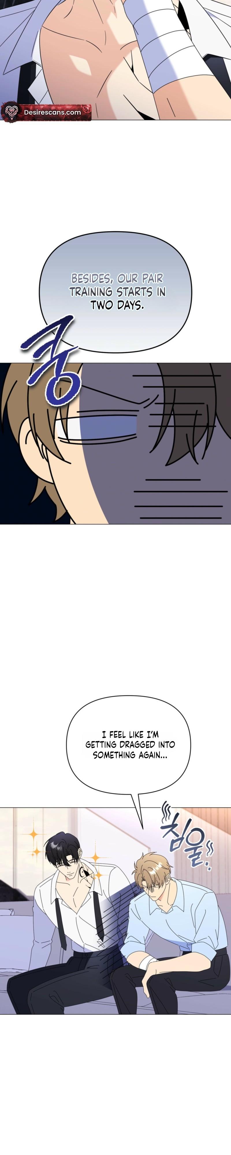 Mismatch Guide Chapter 21.2 page 24 - 