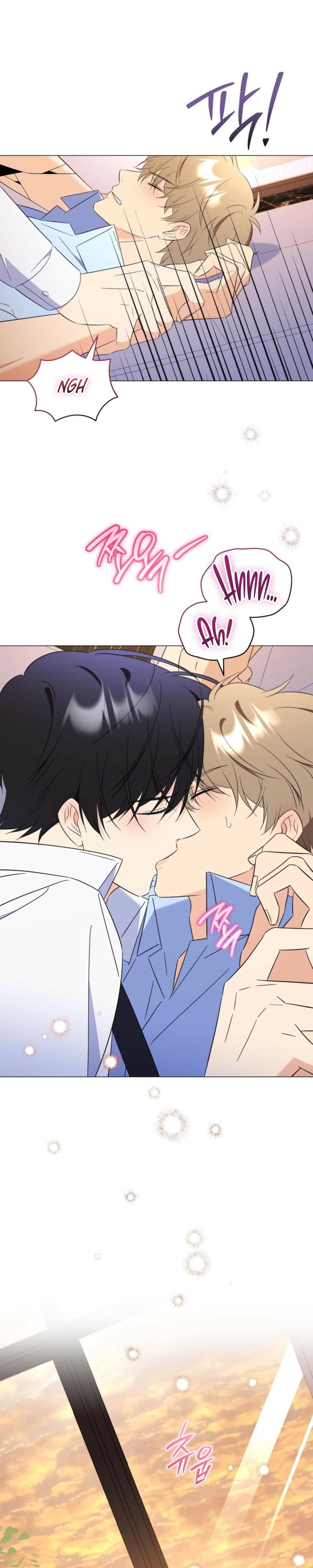 Mismatch Guide Chapter 21.2 page 28 - 