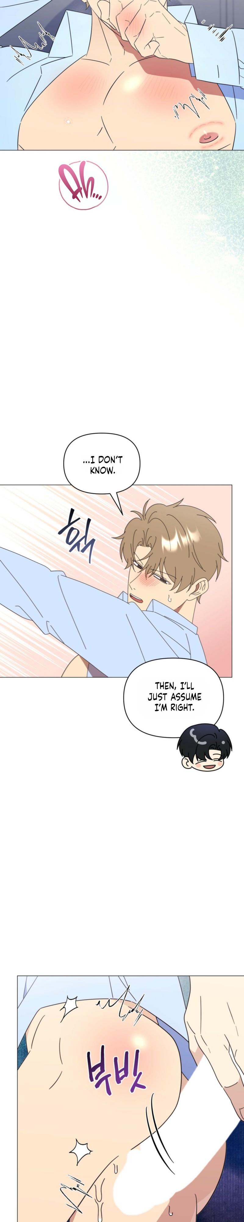 Mismatch Guide Chapter 22 page 17 - 