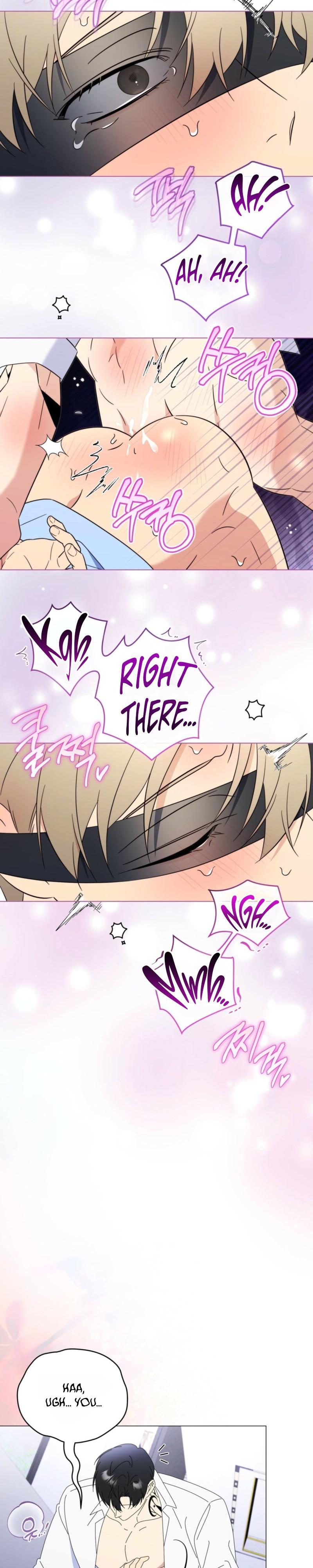 Mismatch Guide Chapter 23.1 page 19 - 