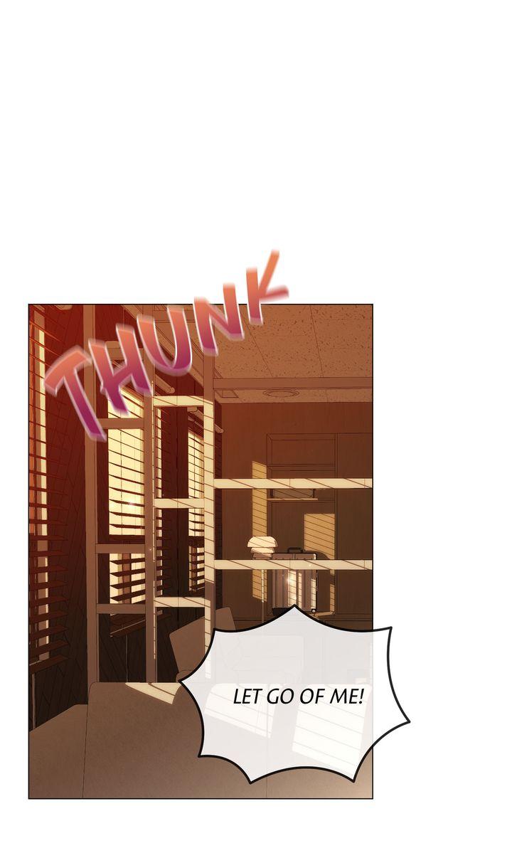 Mismatch Guide Chapter 23.4 page 1 - 