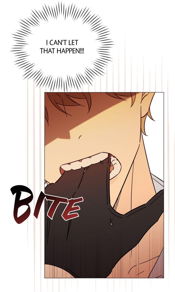 Mismatch Guide Chapter 23.4 page 34 - 