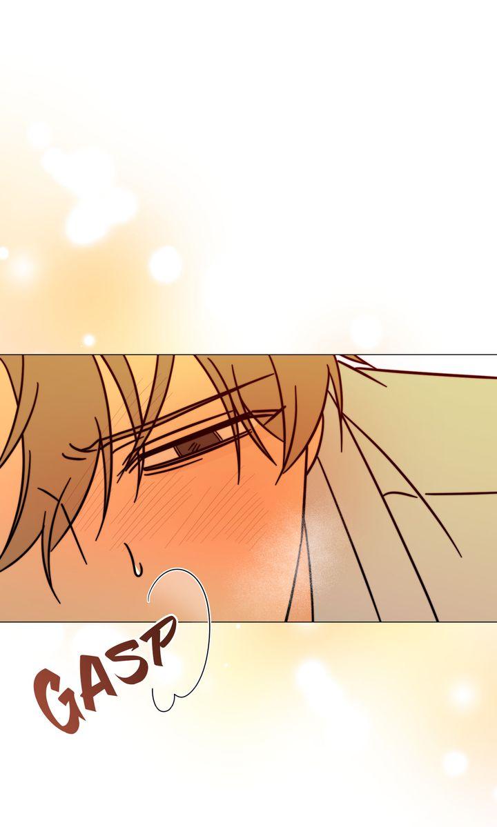 Mismatch Guide Chapter 23.4 page 77 - 