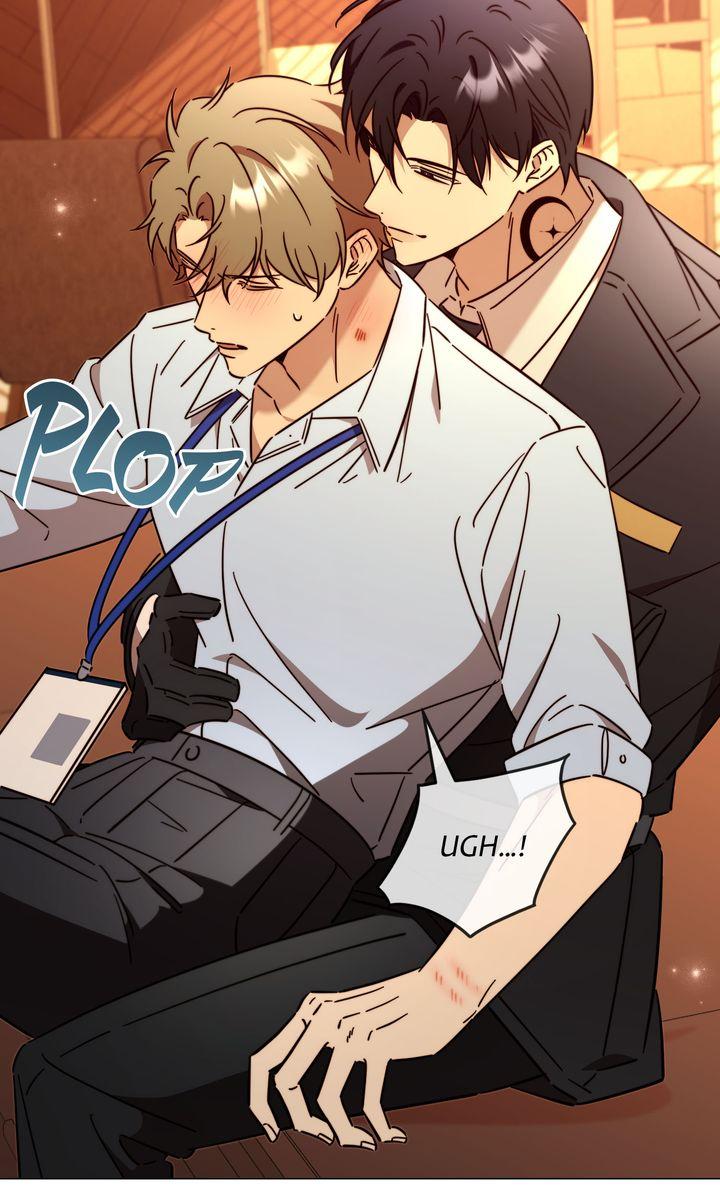 Mismatch Guide Chapter 23.5 page 5 - 