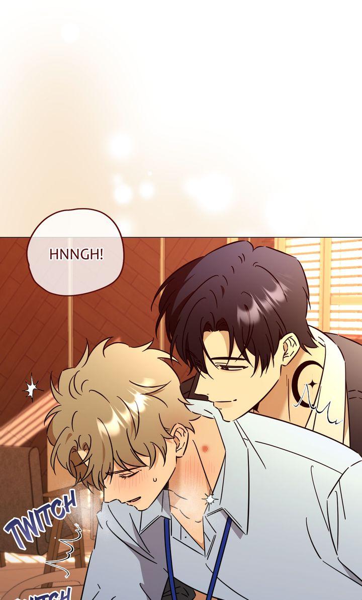 Mismatch Guide Chapter 23.5 page 9 - 