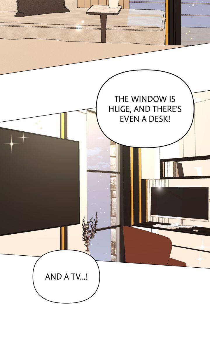 Mismatch Guide Chapter 24.1 page 89 - 
