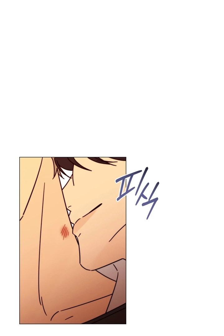 Mismatch Guide Chapter 3.1 page 7 - 