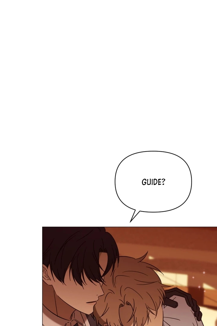 Mismatch Guide Chapter 3.1 page 86 - 