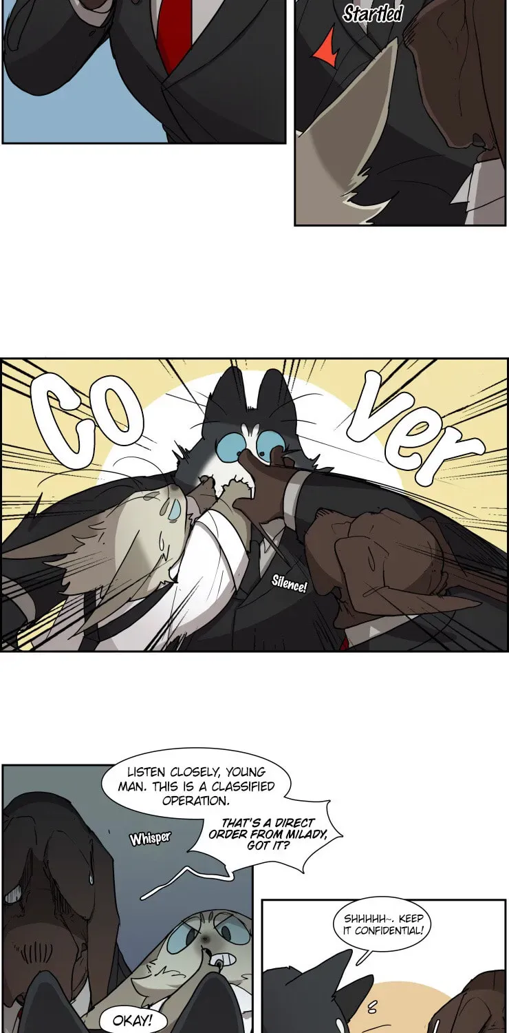 Miss Kitty and Her Bodyguards Chapter 1.4 page 11 - 