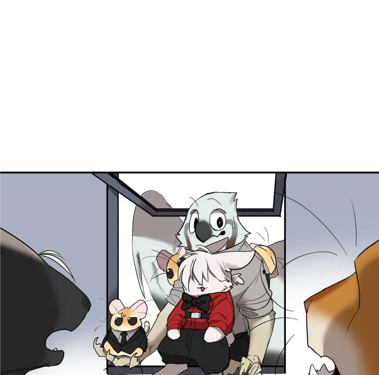 Miss Kitty and Her Bodyguards Chapter 237 page 14 - 