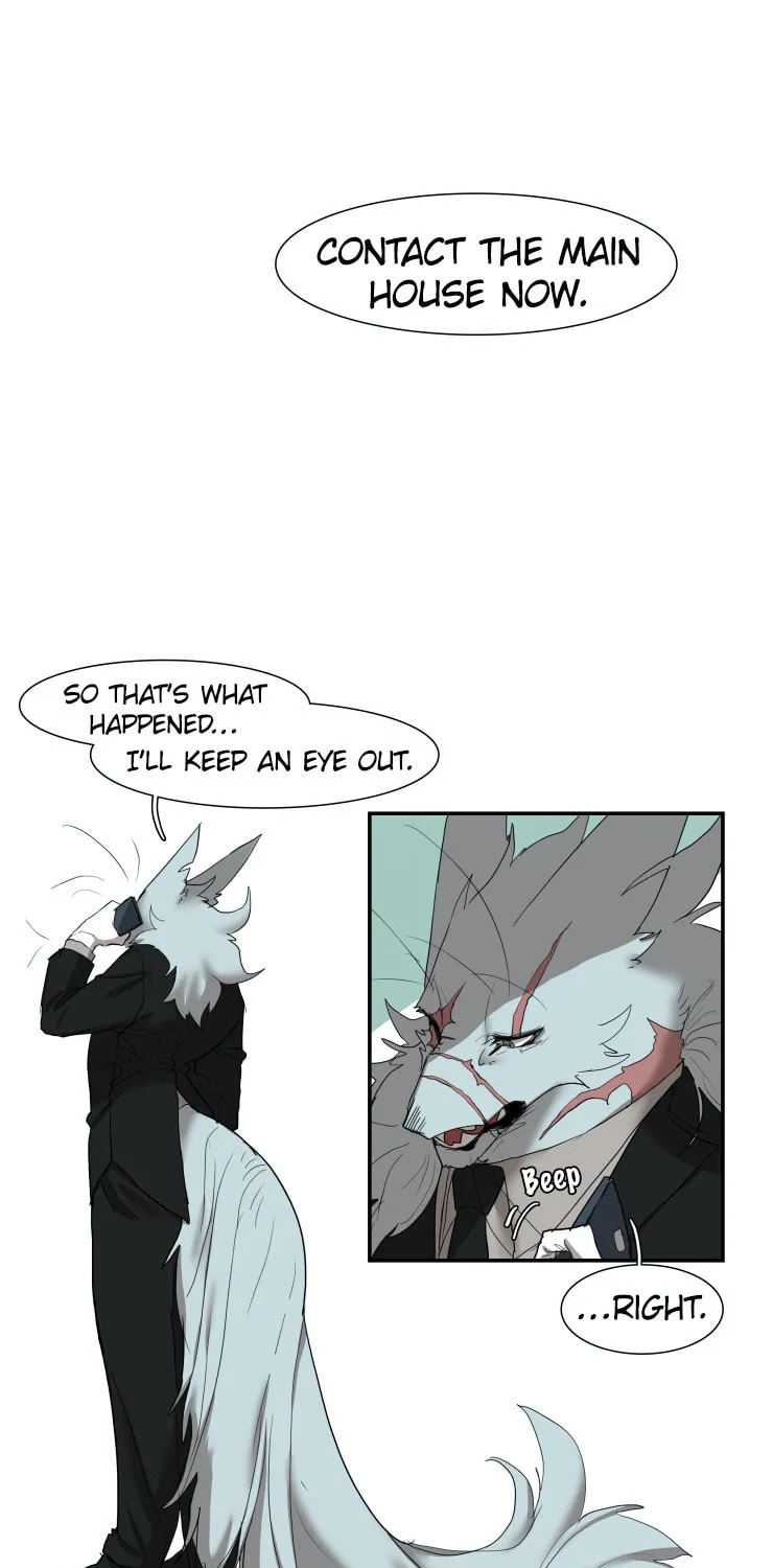 Miss Kitty and Her Bodyguards Chapter 240 page 13 - 
