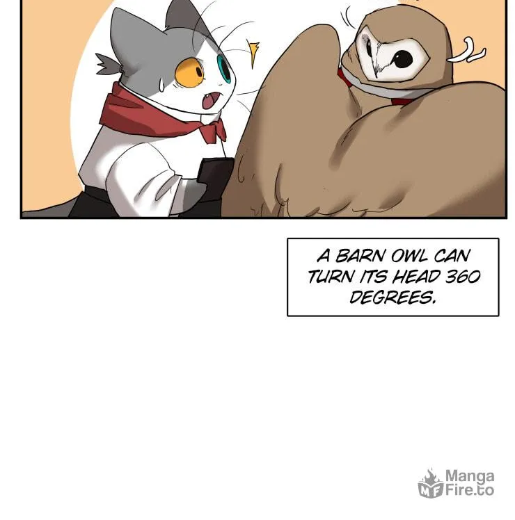 Miss Kitty and Her Bodyguards Chapter 241 page 18 - 