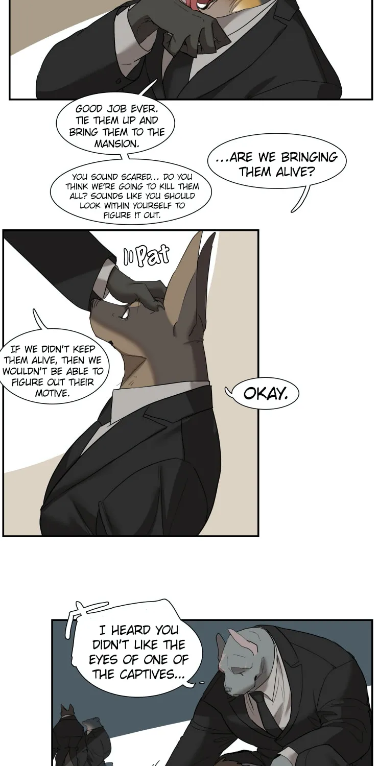 Miss Kitty and Her Bodyguards Chapter 244 page 7 - 