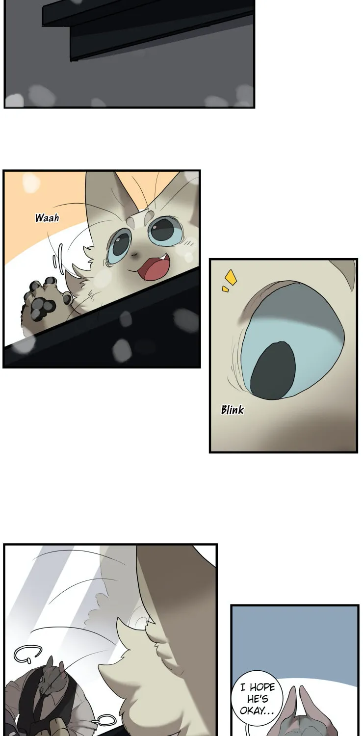 Miss Kitty and Her Bodyguards Chapter 245 page 13 - 