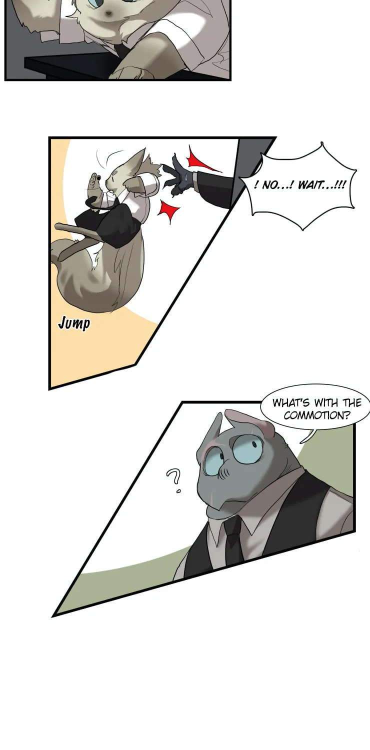 Miss Kitty and Her Bodyguards Chapter 245 page 15 - 