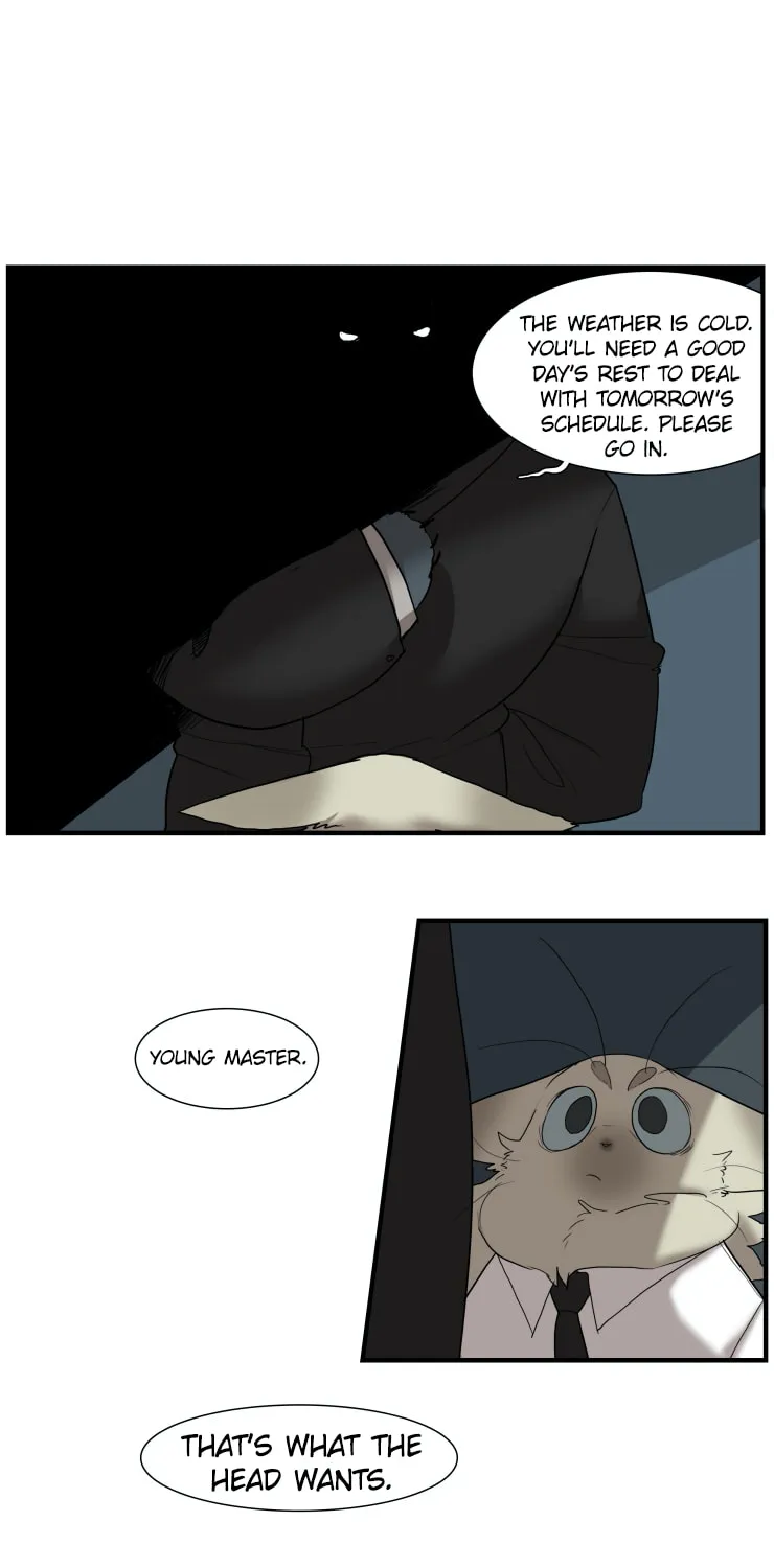Miss Kitty and Her Bodyguards Chapter 246 page 13 - 