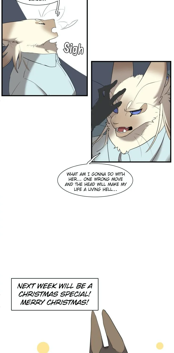 Miss Kitty and Her Bodyguards Chapter 246 page 17 - 