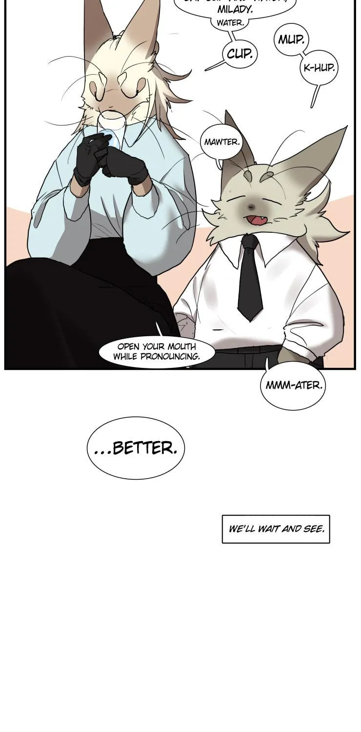 Miss Kitty and Her Bodyguards Chapter 247 page 17 - 