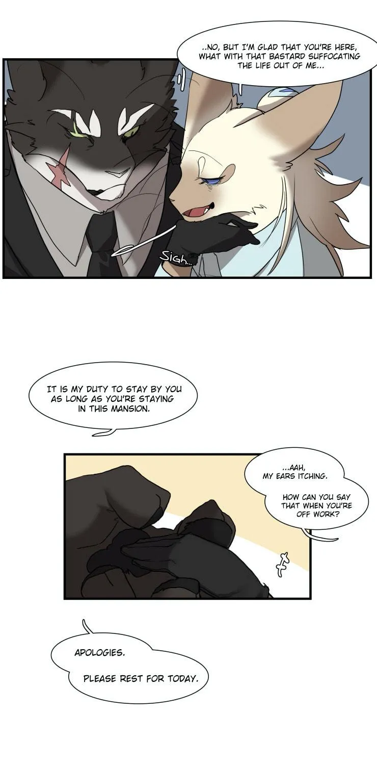 Miss Kitty and Her Bodyguards Chapter 248 page 17 - 