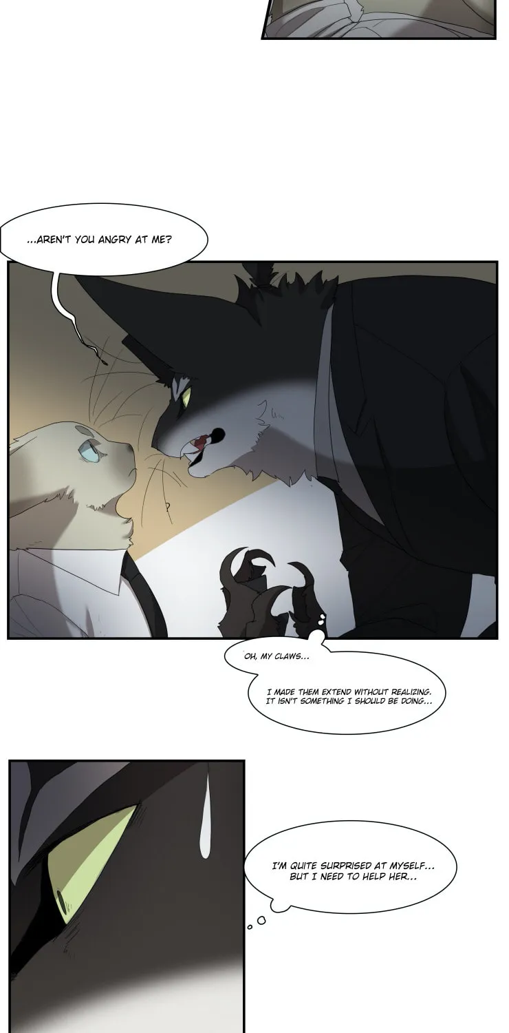 Miss Kitty and Her Bodyguards Chapter 250 page 16 - 
