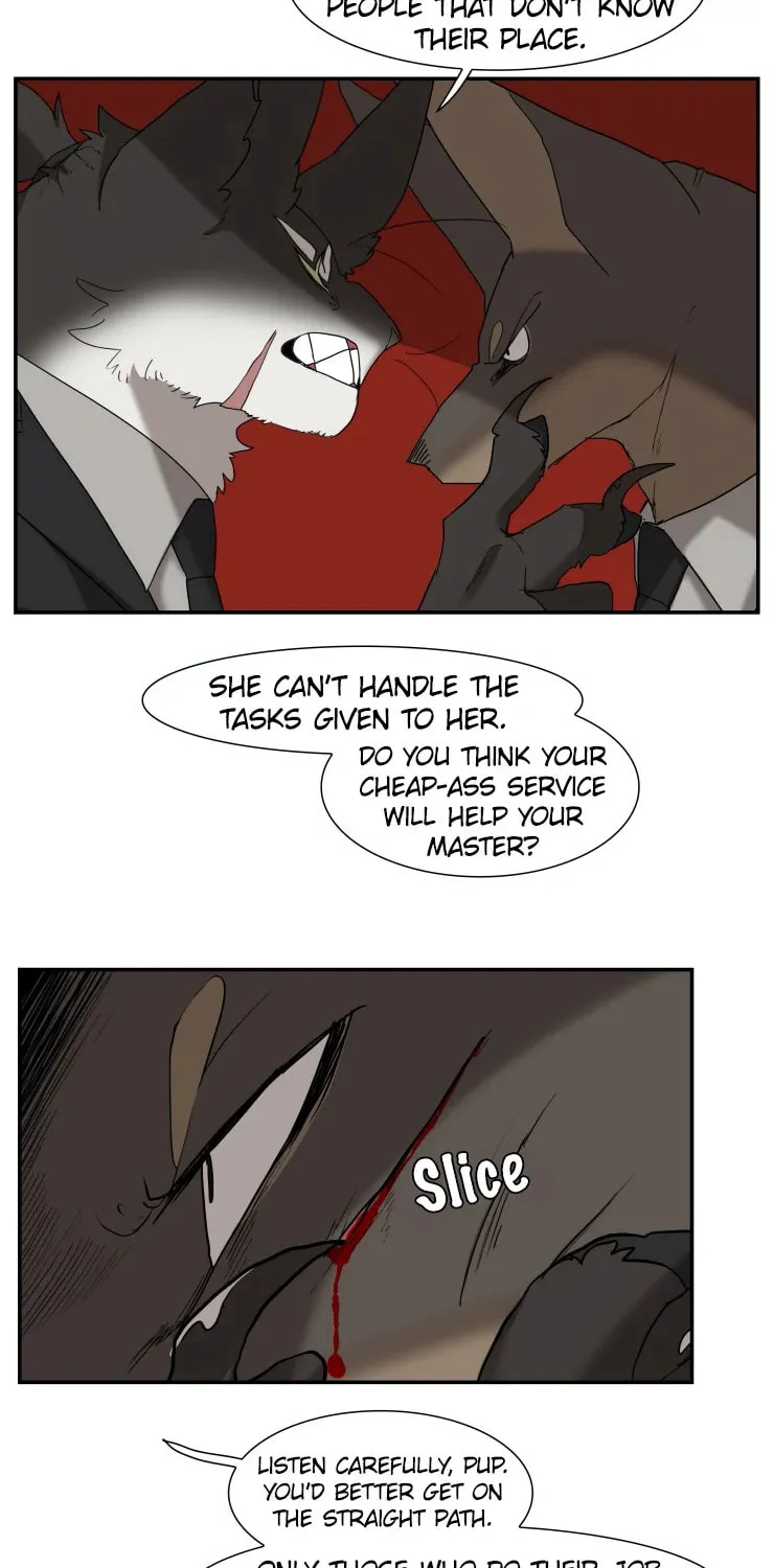 Miss Kitty and Her Bodyguards Chapter 251 page 16 - 