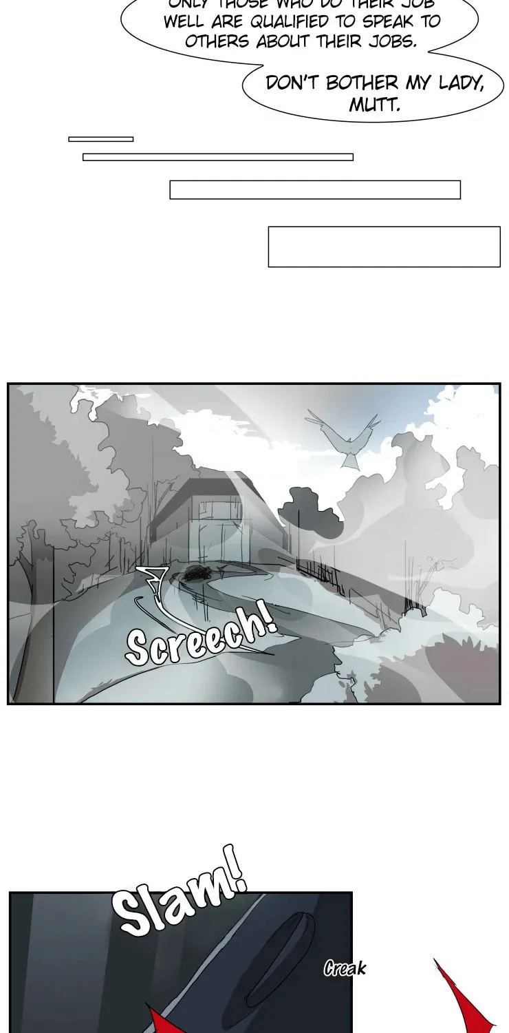 Miss Kitty and Her Bodyguards Chapter 251 page 17 - 