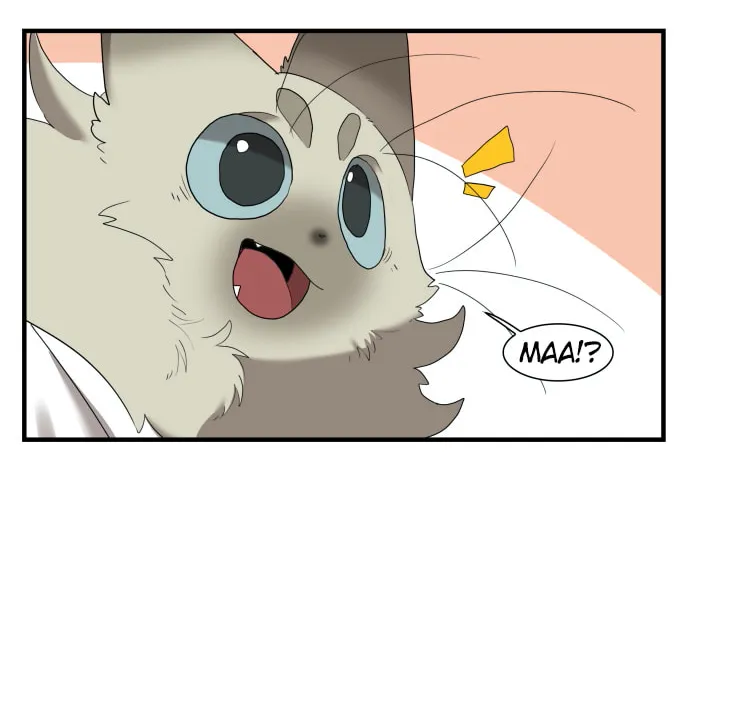 Miss Kitty and Her Bodyguards Chapter 253 page 8 - 