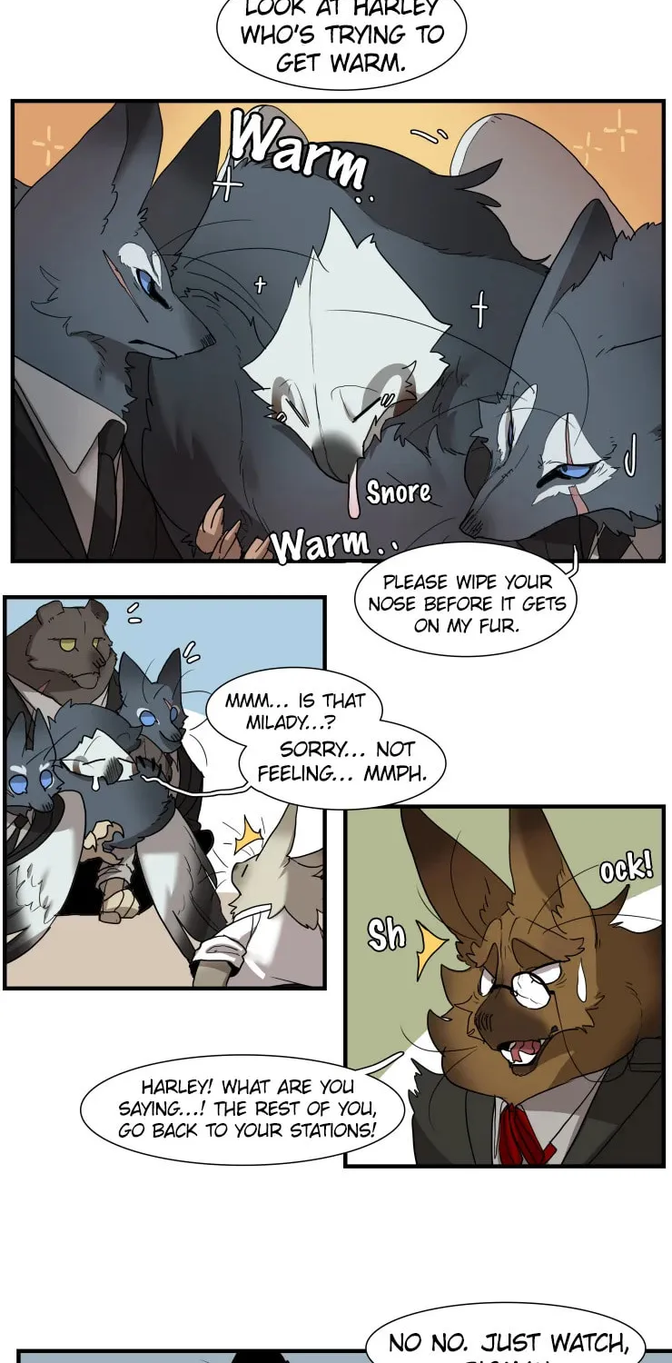Miss Kitty and Her Bodyguards Chapter 255 page 16 - 