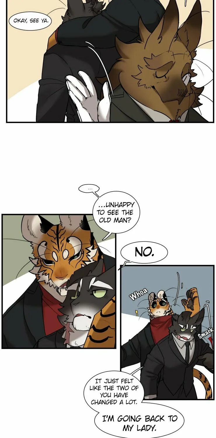 Miss Kitty and Her Bodyguards Chapter 256 page 16 - 