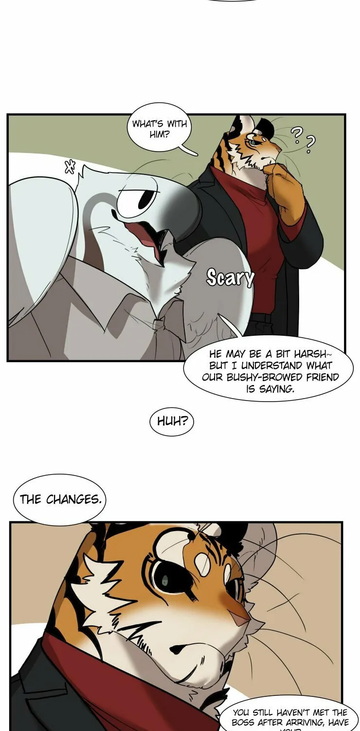 Miss Kitty and Her Bodyguards Chapter 256 page 17 - 