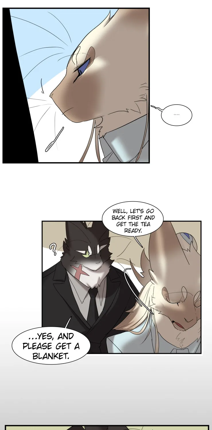 Miss Kitty and Her Bodyguards Chapter 256 page 7 - 