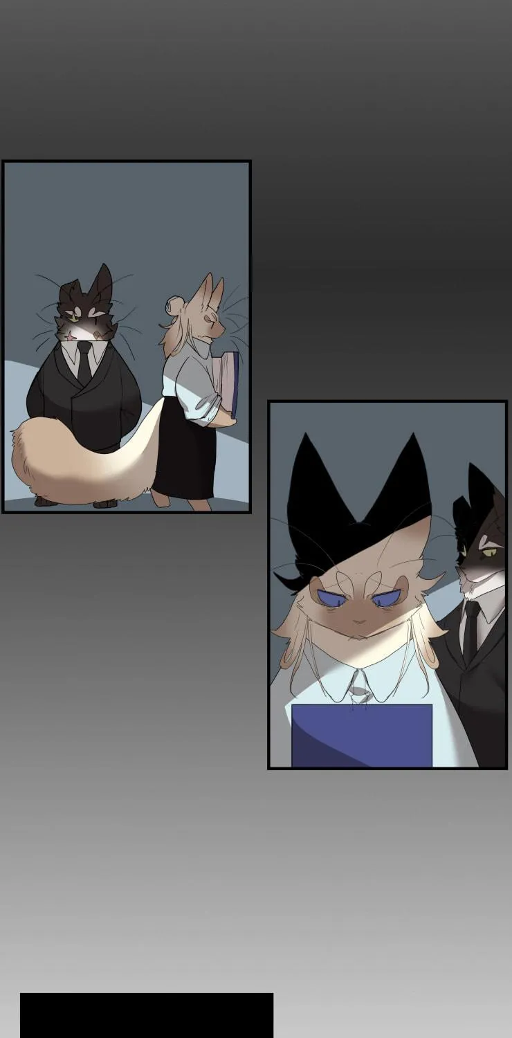 Miss Kitty and Her Bodyguards Chapter 256 page 9 - 