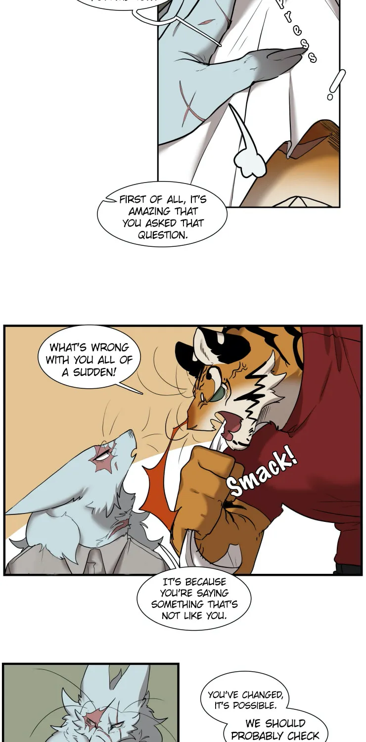 Miss Kitty and Her Bodyguards Chapter 257 page 13 - 