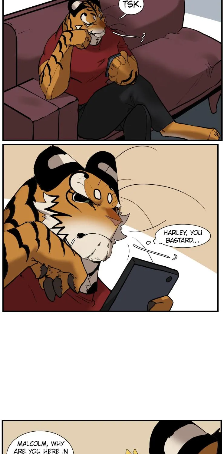 Miss Kitty and Her Bodyguards Chapter 257 page 5 - 