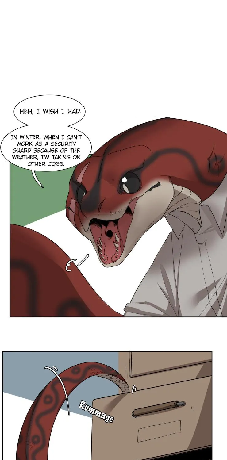 Miss Kitty and Her Bodyguards Chapter 259 page 11 - 
