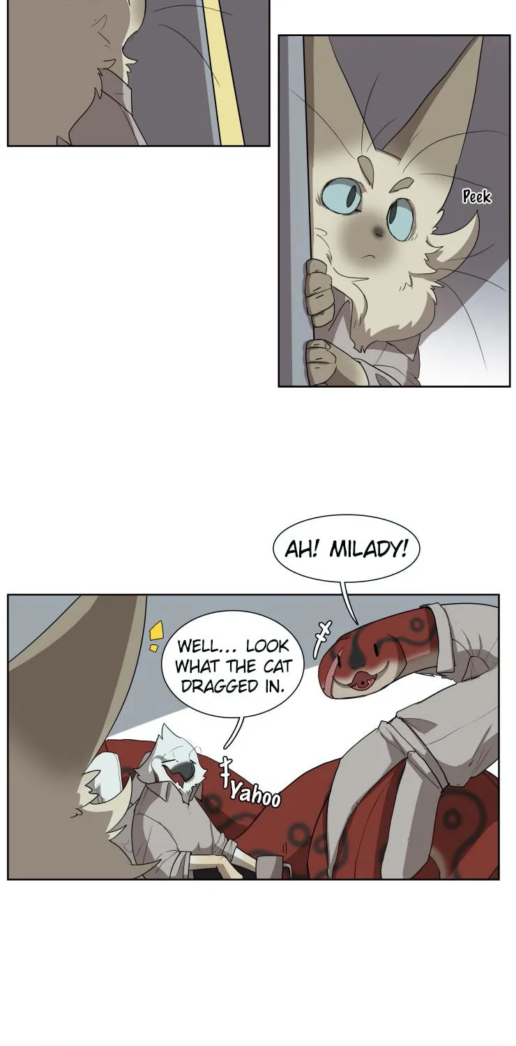 Miss Kitty and Her Bodyguards Chapter 259 page 19 - 