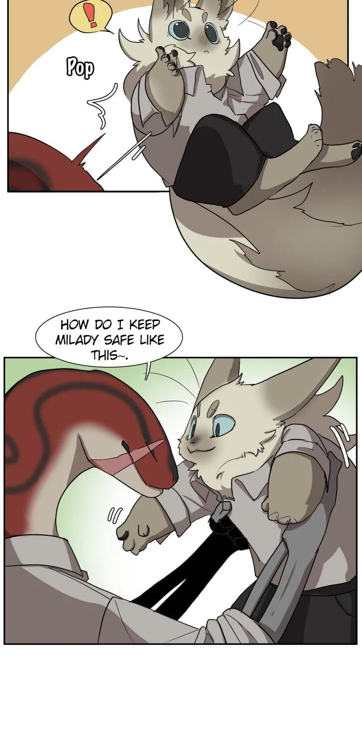 Miss Kitty and Her Bodyguards Chapter 260 page 17 - 