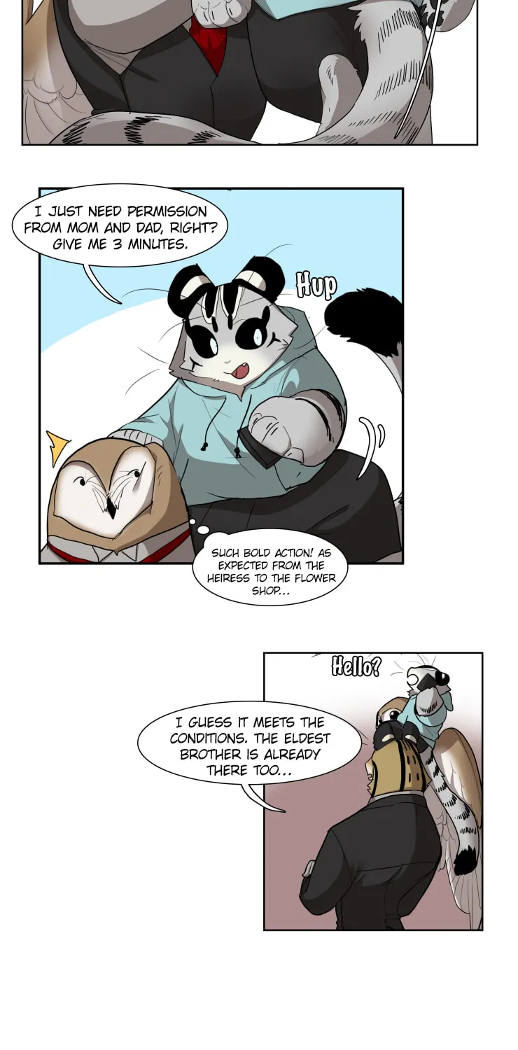 Miss Kitty and Her Bodyguards Chapter 266 page 13 - 