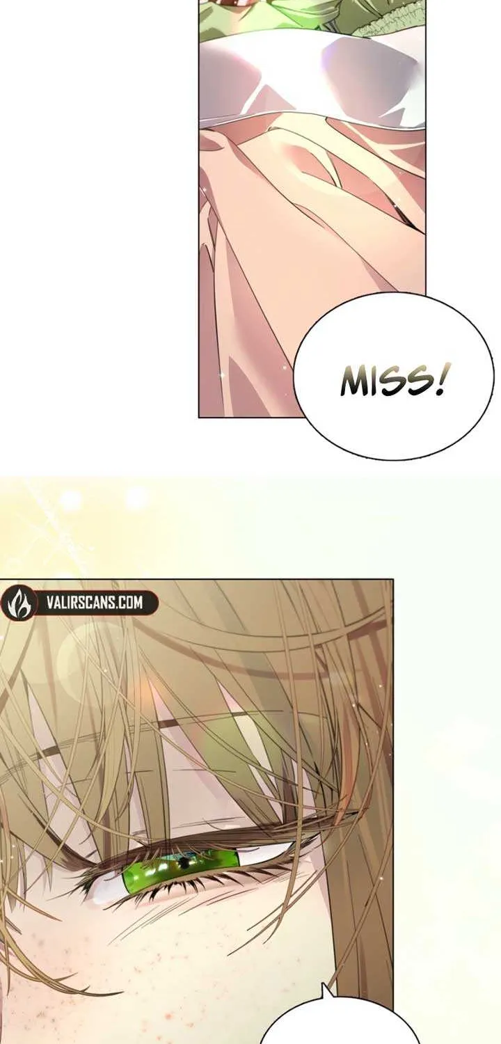Miss Not-So Sidekick Chapter 179 page 41 - 