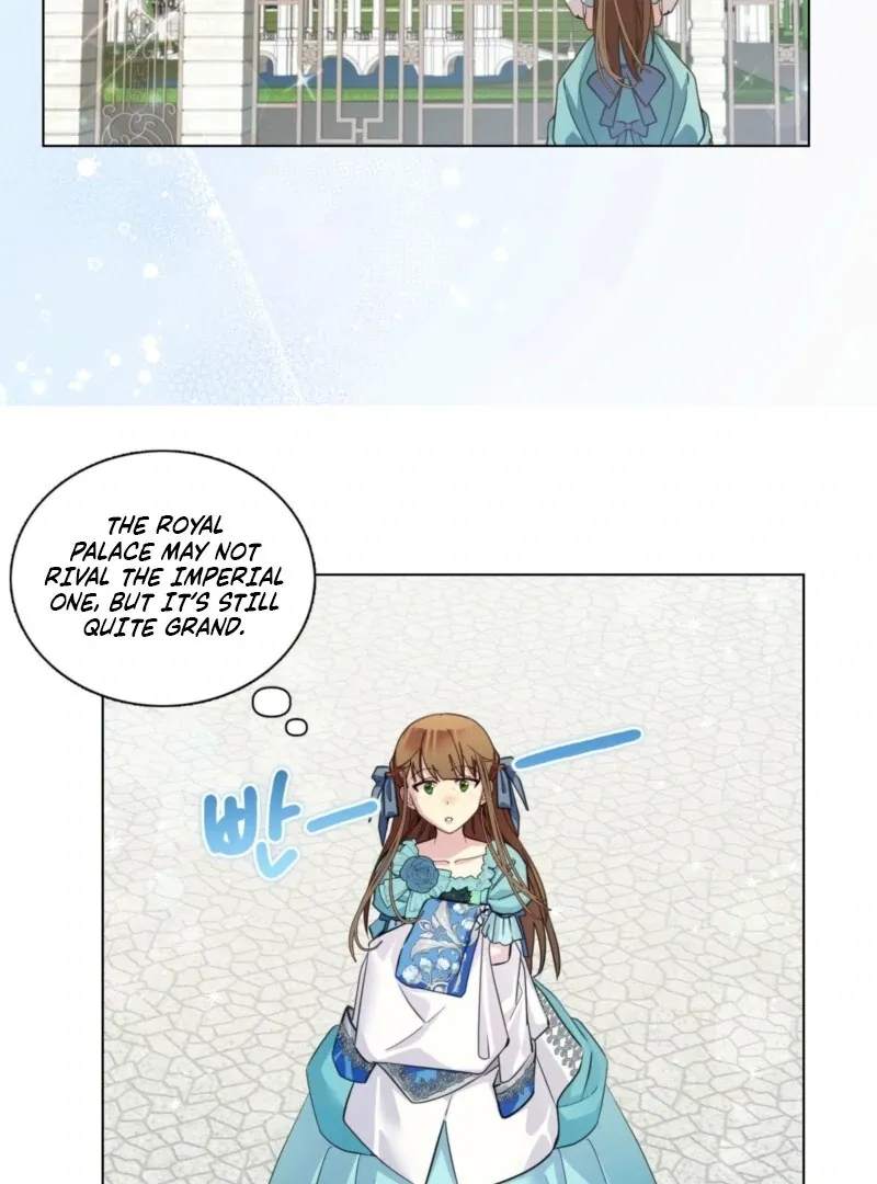 Miss Not-So Sidekick Chapter 185 page 47 - 