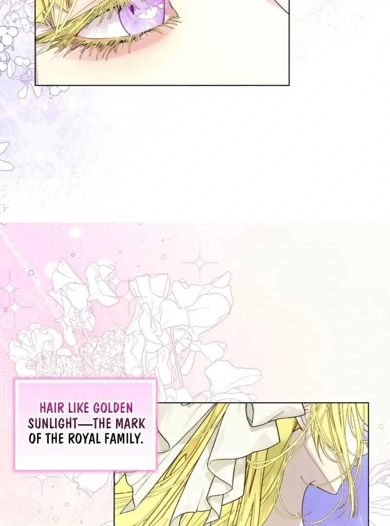 Miss Not-So Sidekick Chapter 185 page 62 - 