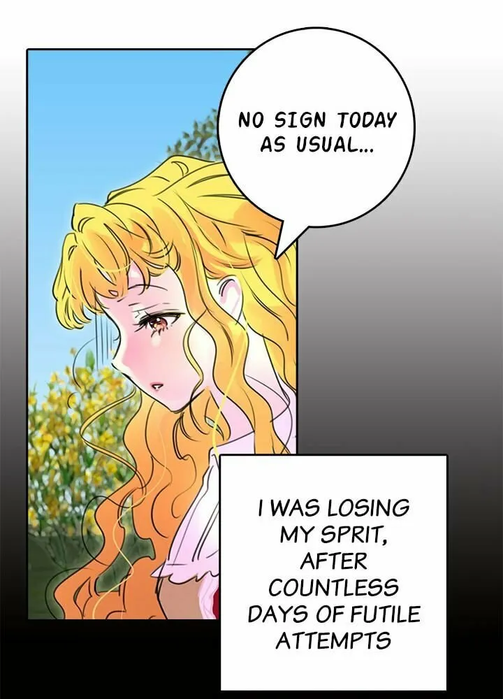 Miss Not-So Sidekick Chapter 2 page 51 - 