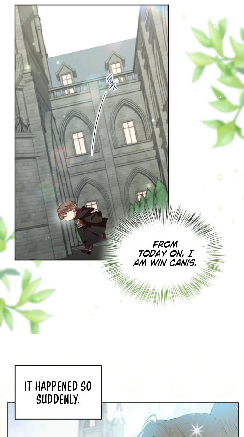 Miss Not-So Sidekick Chapter 204 page 24 - 