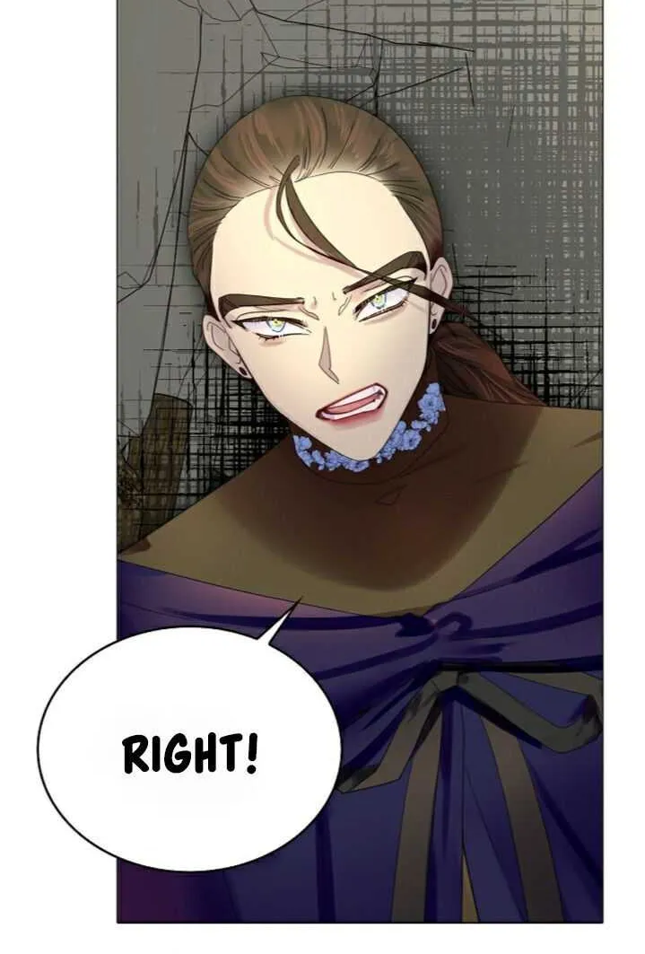 Miss Not-So Sidekick Chapter 3.3 page 43 - 