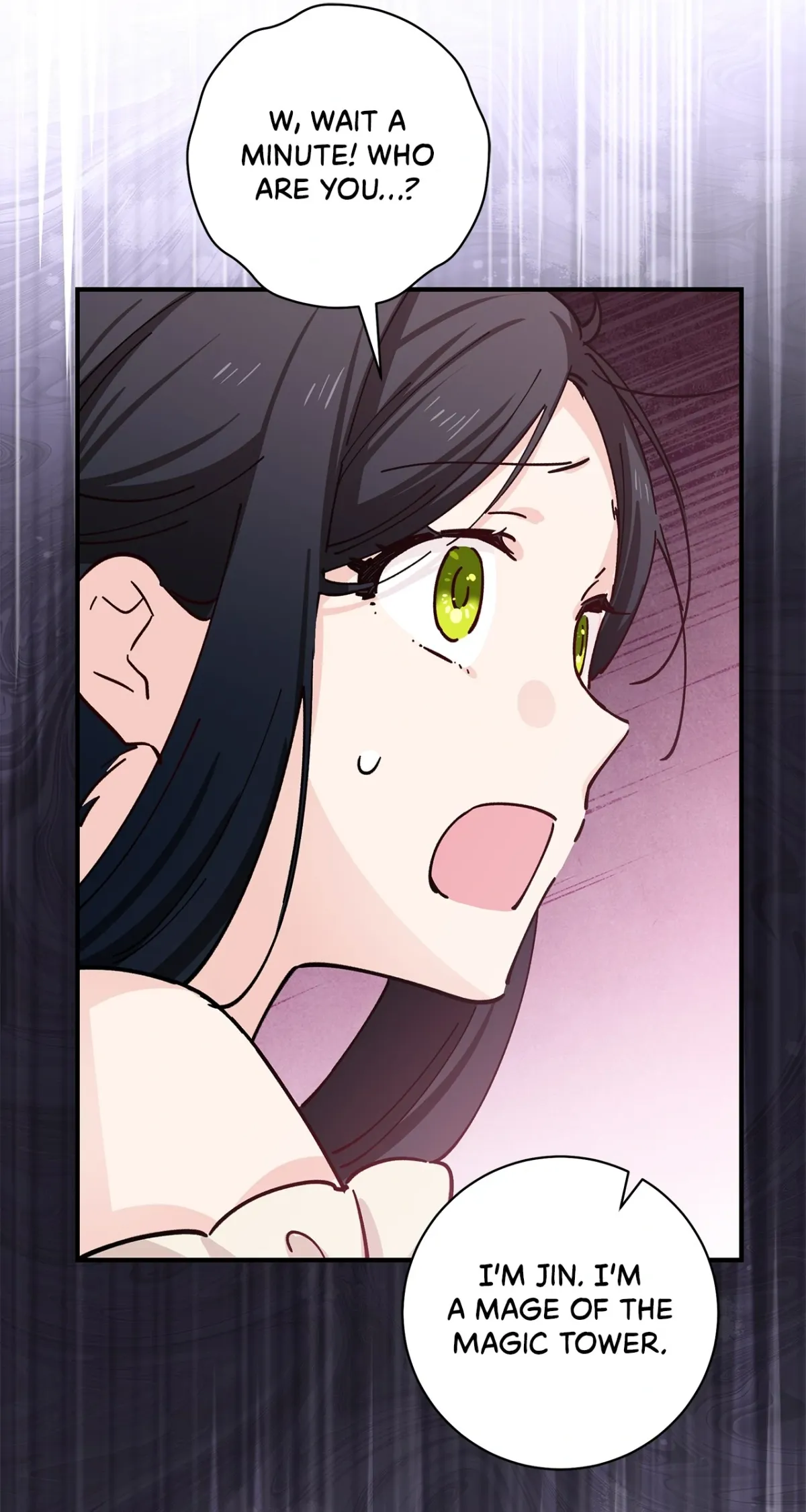 Miss Who Swallowed a Mage Chapter 9 page 85 - 
