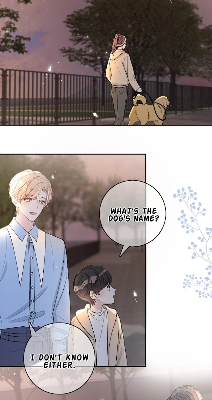 Miss You Chapter 25 page 15 - 