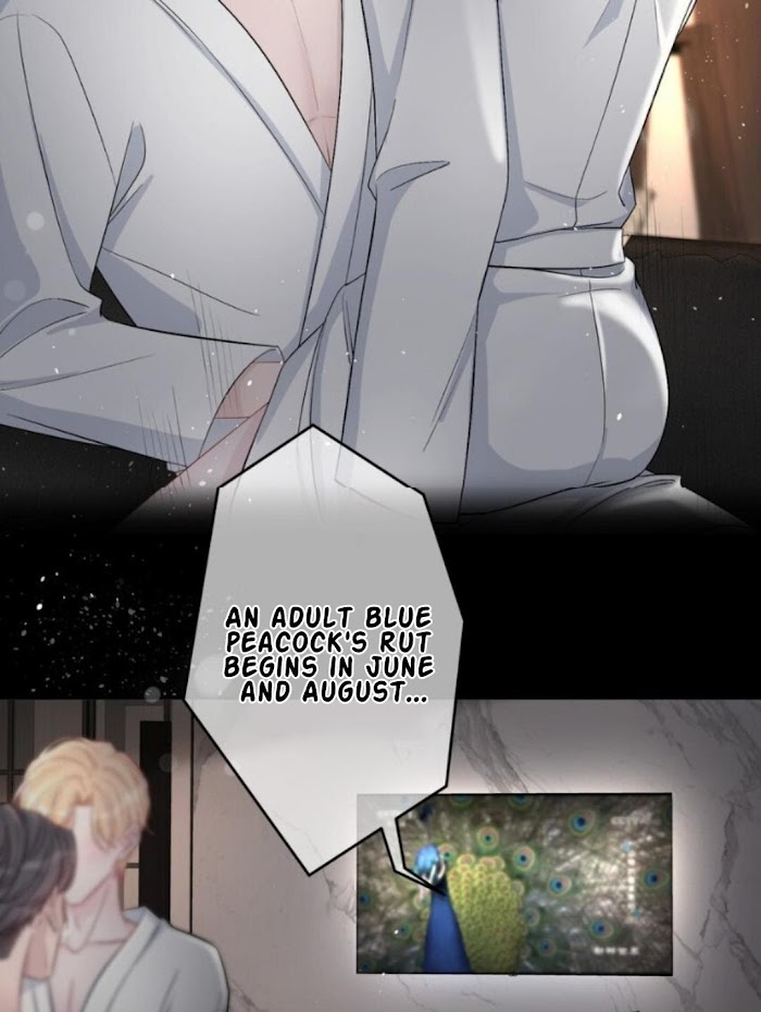 Miss You Chapter 29 page 36 - 