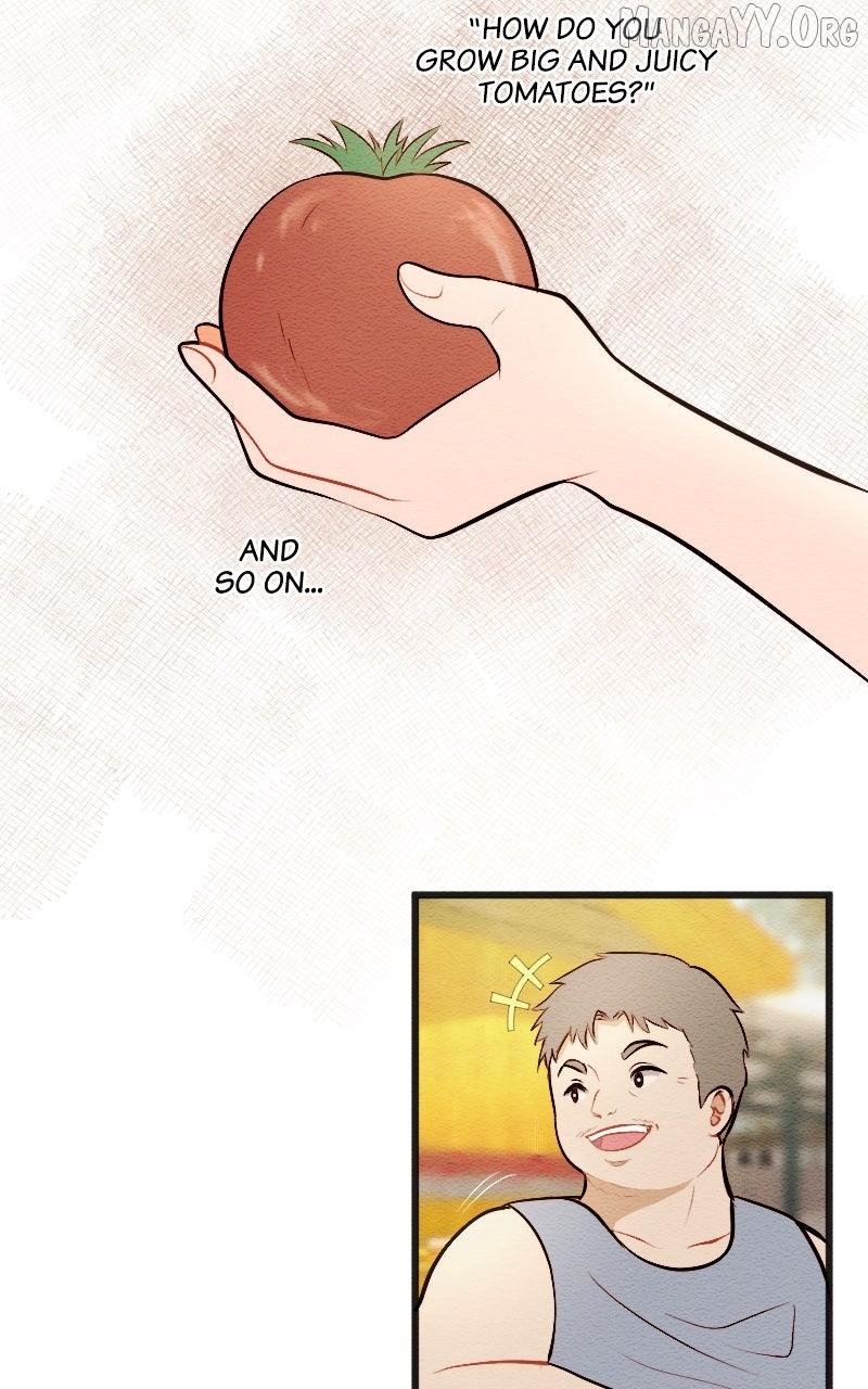 Mistake Chapter 202 page 17 - 