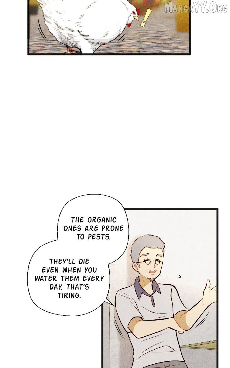Mistake Chapter 202 page 22 - 